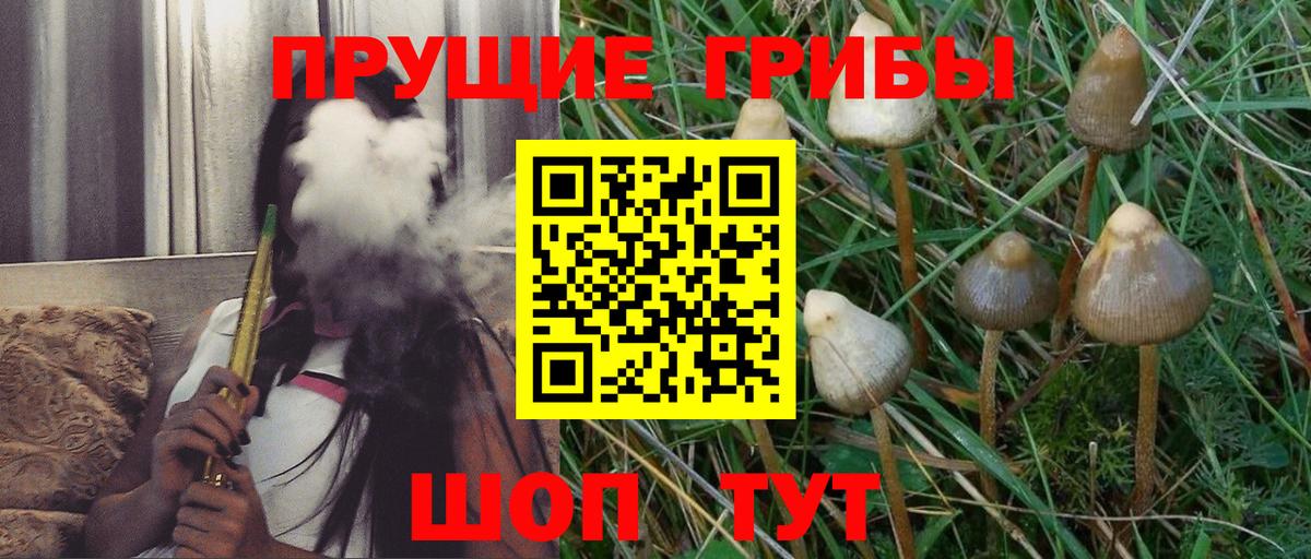 Галлюциногенные грибы Cubensis Кумертау