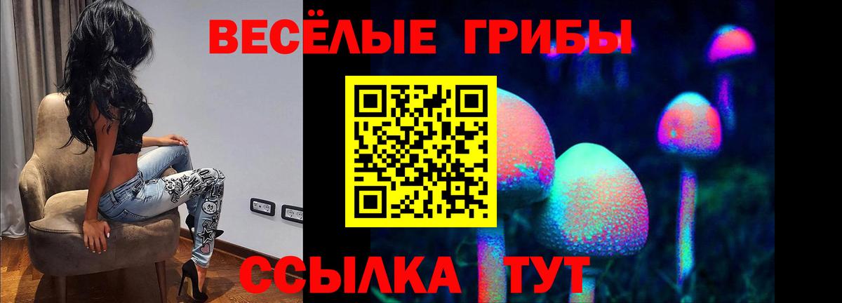 даркнет сайт  Вход с VPN  Кумертау  Галлюциногенные грибы MAGIC MUSHROOMS 